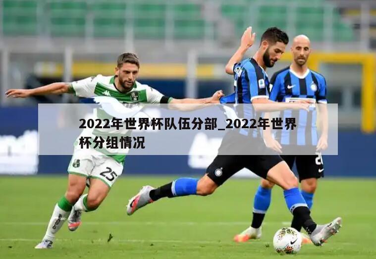 2022年世界杯队伍分部_2022年世界杯分组情况