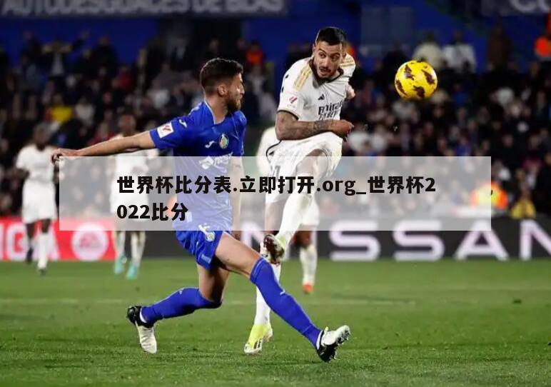 世界杯比分表.立即打开.org_世界杯2022比分