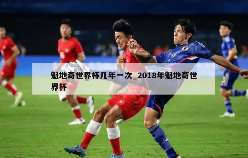 魁地奇世界杯几年一次_2018年魁地奇世界杯