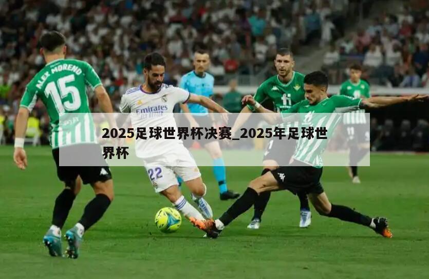 2025足球世界杯决赛_2025年足球世界杯