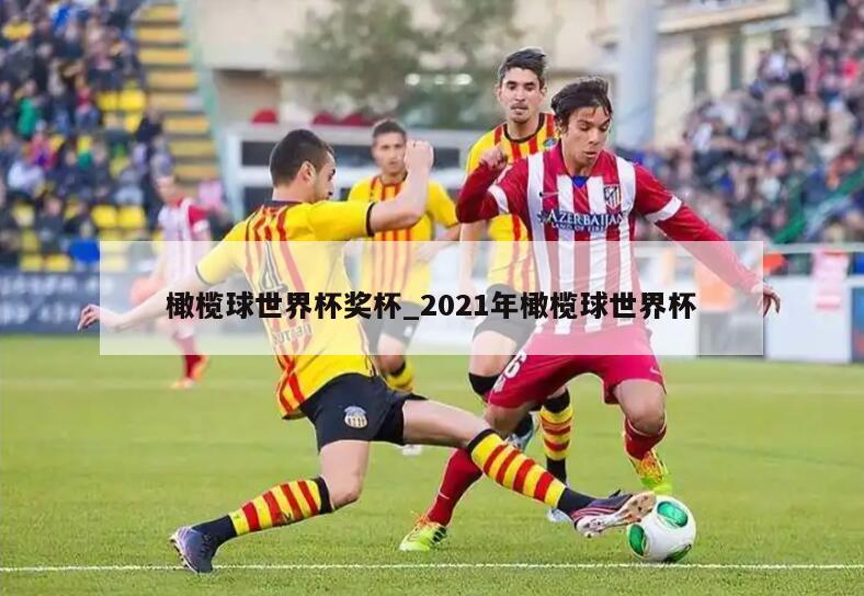 橄榄球世界杯奖杯_2021年橄榄球世界杯