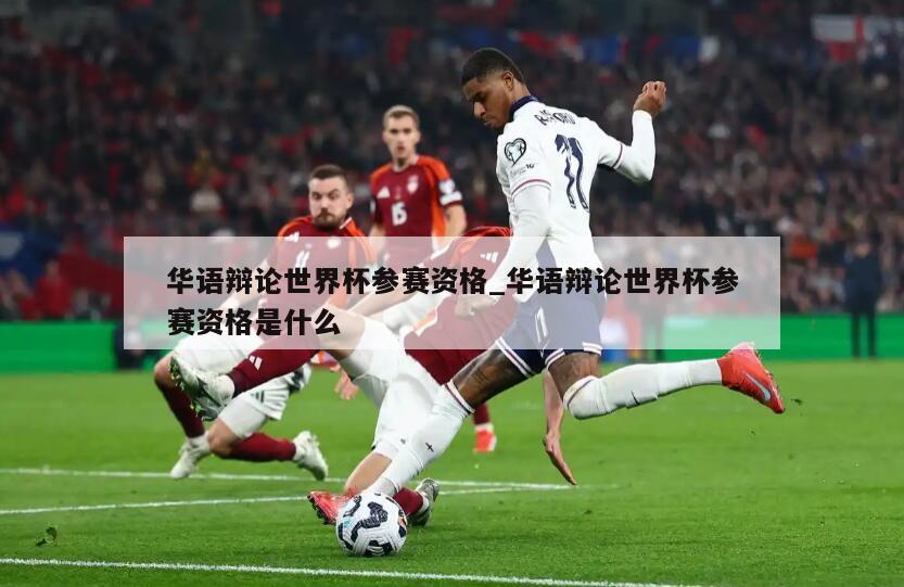 华语辩论世界杯参赛资格_华语辩论世界杯参赛资格是什么