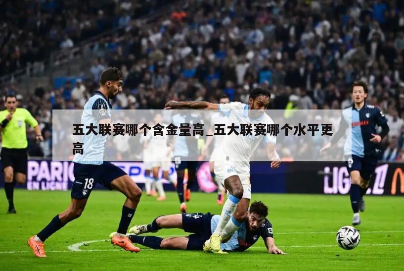 五大联赛哪个含金量高_五大联赛哪个水平更高