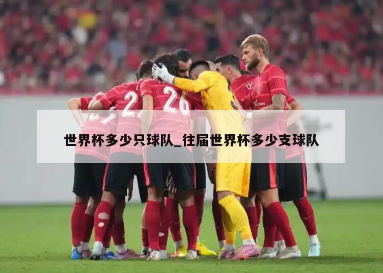 世界杯多少只球队_往届世界杯多少支球队