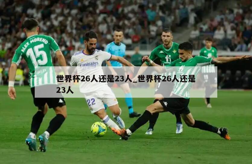 世界杯26人还是23人_世界杯26人还是23人