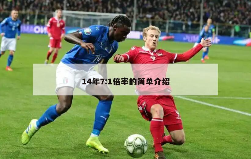 14年7:1倍率的简单介绍