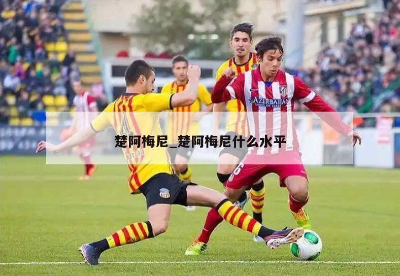 楚阿梅尼_楚阿梅尼什么水平