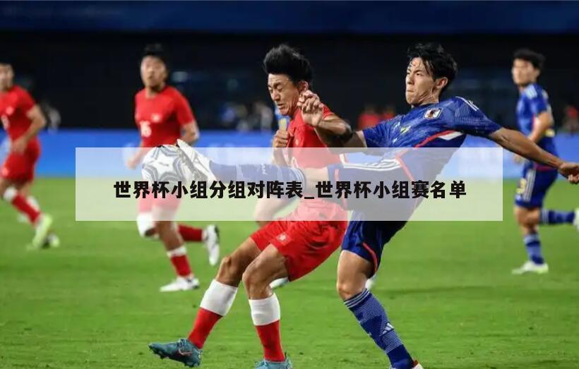 世界杯小组分组对阵表_世界杯小组赛名单