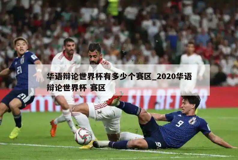 华语辩论世界杯有多少个赛区_2020华语辩论世界杯 赛区