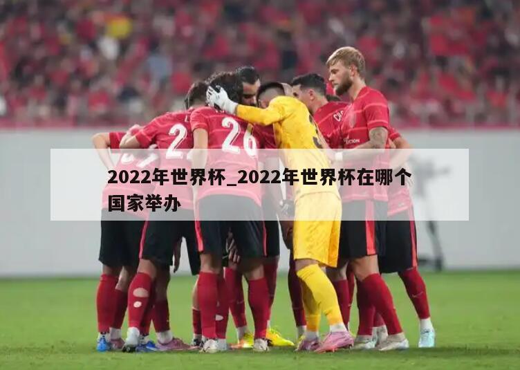 2022年世界杯_2022年世界杯在哪个国家举办