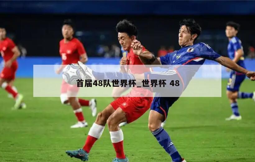 首届48队世界杯_世界杯 48