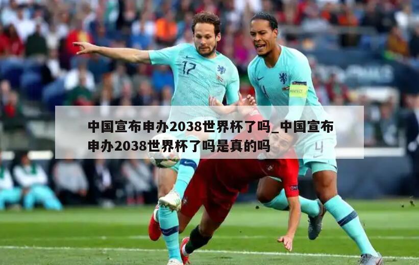 中国宣布申办2038世界杯了吗_中国宣布申办2038世界杯了吗是真的吗