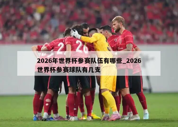 2026年世界杯参赛队伍有哪些_2026世界杯参赛球队有几支
