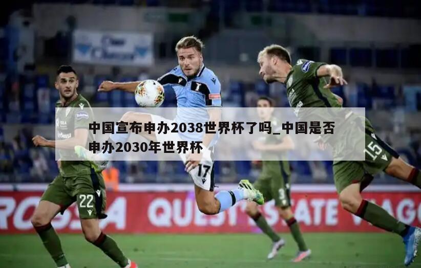 中国宣布申办2038世界杯了吗_中国是否申办2030年世界杯