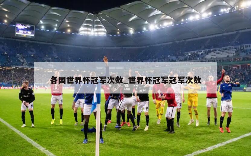 各国世界杯冠军次数_世界杯冠军冠军次数