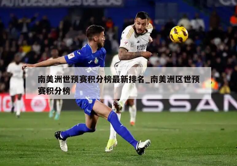 南美洲世预赛积分榜最新排名_南美洲区世预赛积分榜