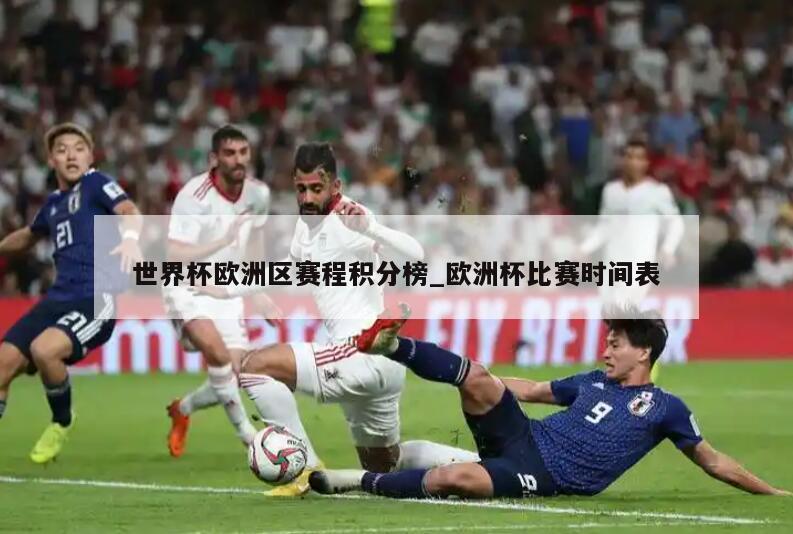 世界杯欧洲区赛程积分榜_欧洲杯比赛时间表