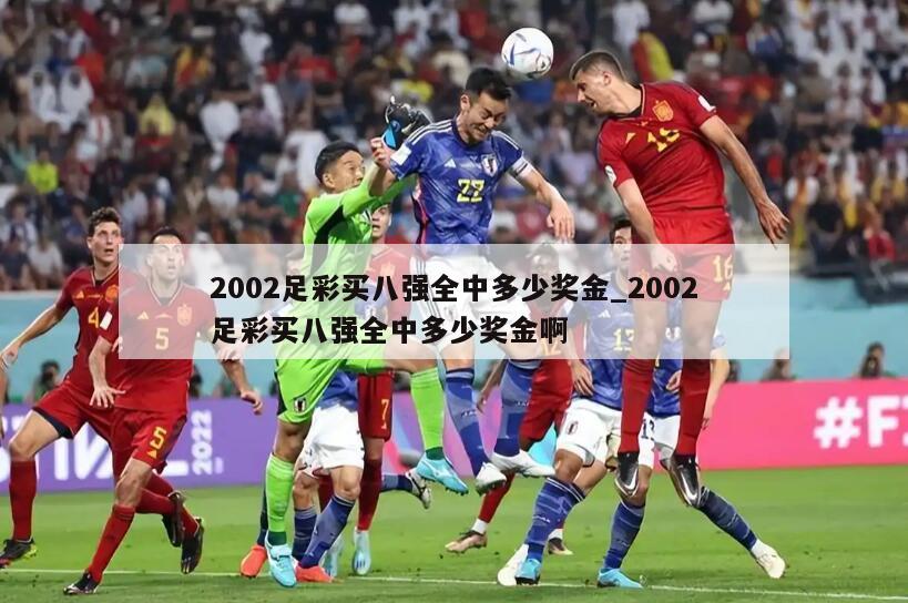 2002足彩买八强全中多少奖金_2002足彩买八强全中多少奖金啊