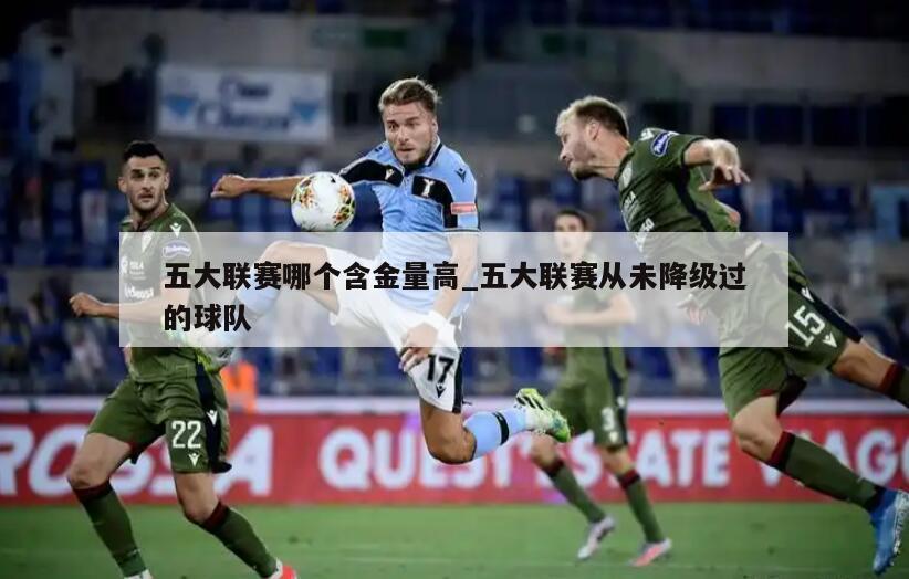 五大联赛哪个含金量高_五大联赛从未降级过的球队