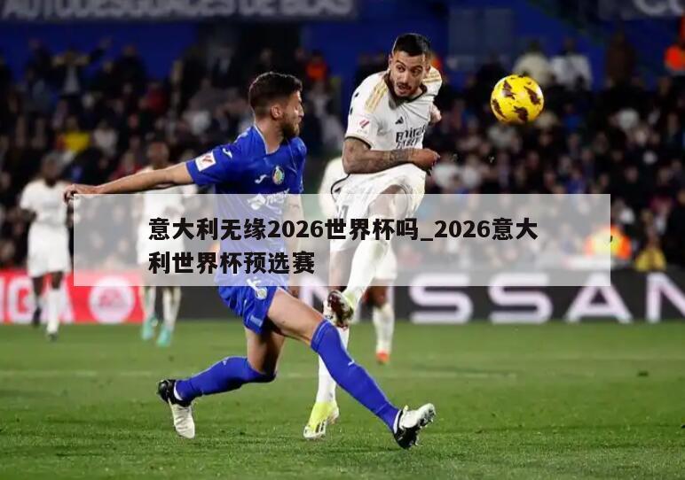 意大利无缘2026世界杯吗_2026意大利世界杯预选赛
