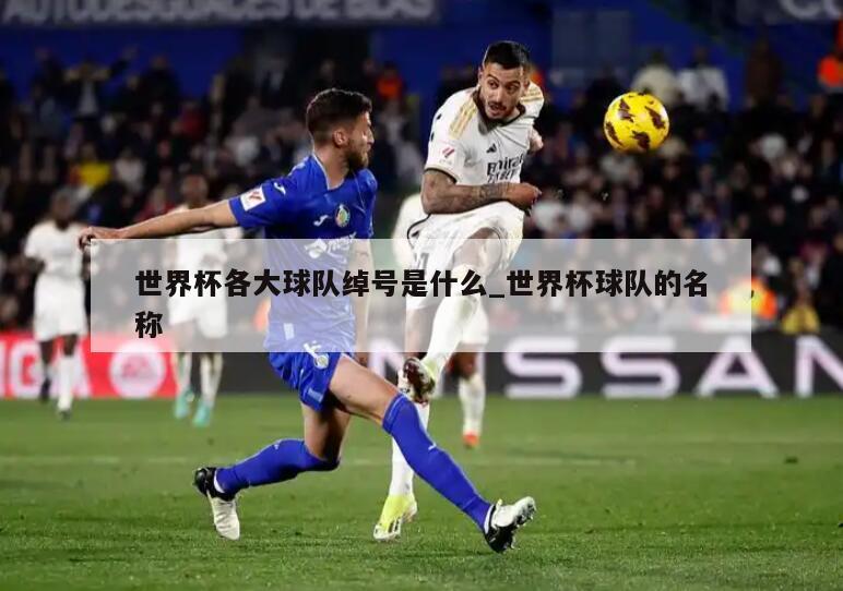 世界杯各大球队绰号是什么_世界杯球队的名称