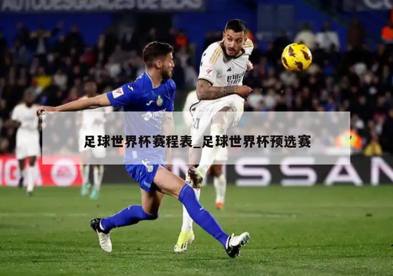 足球世界杯赛程表_足球世界杯预选赛
