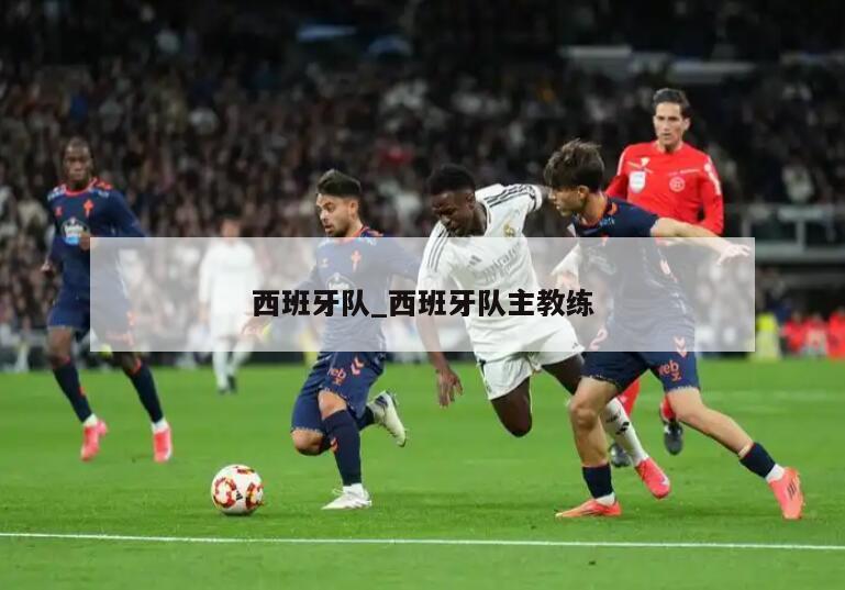 西班牙队_西班牙队主教练