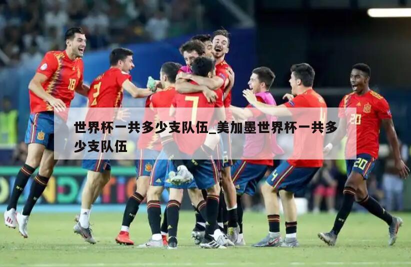 世界杯一共多少支队伍_美加墨世界杯一共多少支队伍