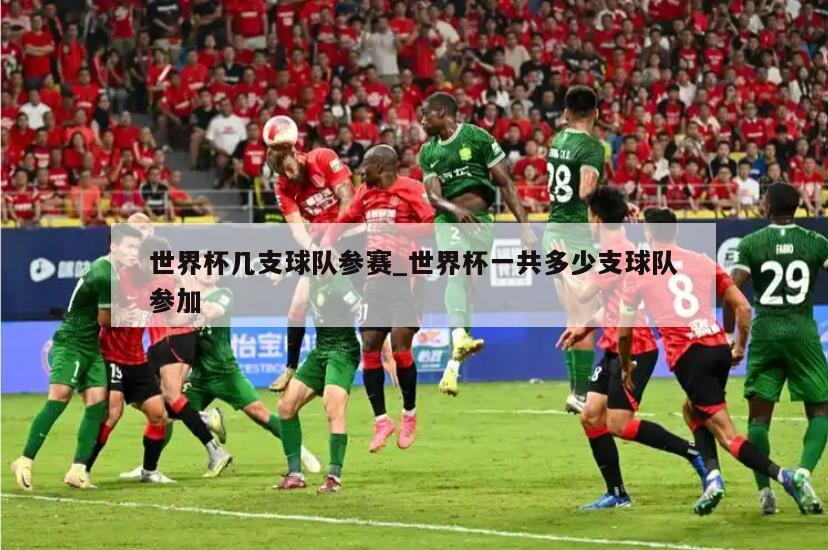 世界杯几支球队参赛_世界杯一共多少支球队参加