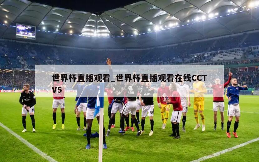 世界杯直播观看_世界杯直播观看在线CCTV5