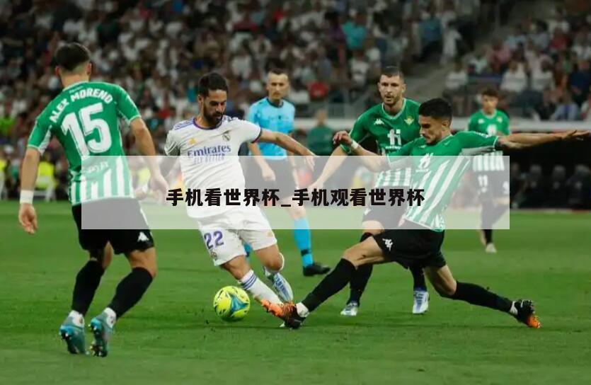 手机看世界杯_手机观看世界杯